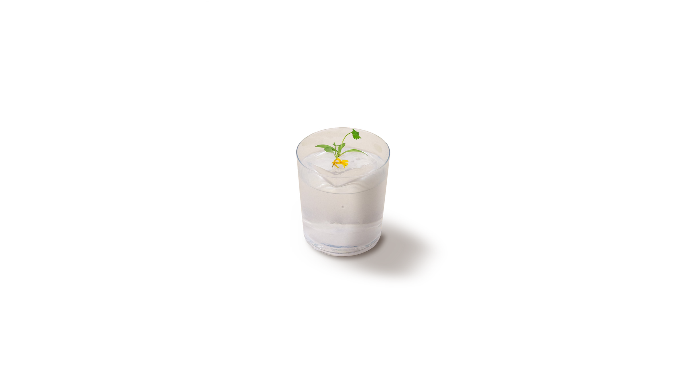 The Mixologist